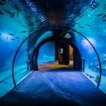 Funtastic Aquarium İzmir