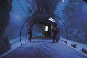 Funtastic Aquarium İzmir